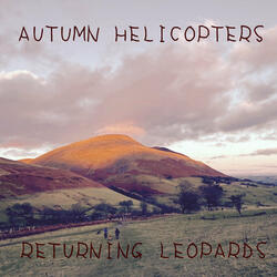Autumn Helicopters