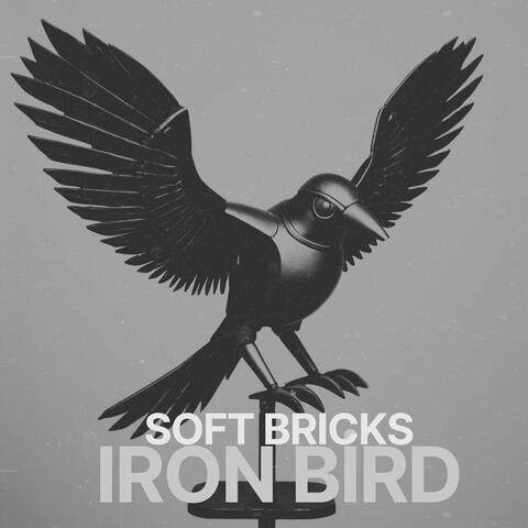 Iron Bird
