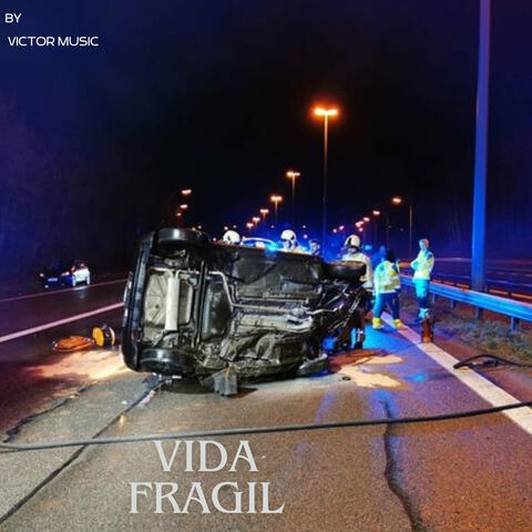 Vida Fragil
