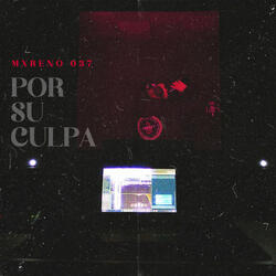 Por su culpa