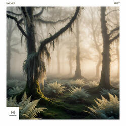 Mist