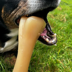 Lost in the Lips Pt. 1