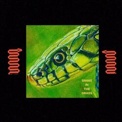 Snake In The Grass