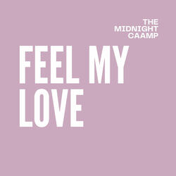 Feel My Love