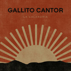 Gallito Cantor