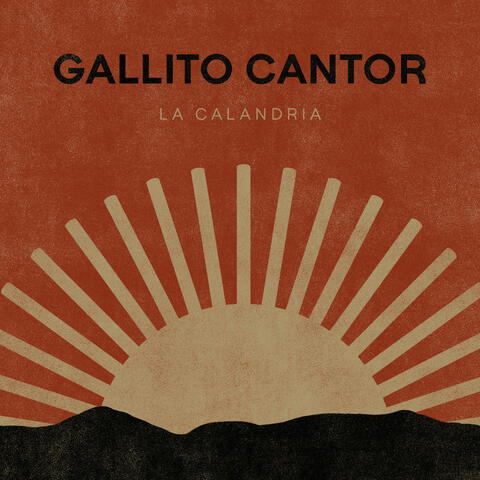 Gallito Cantor