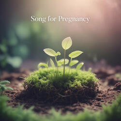 Song for Pregnancy