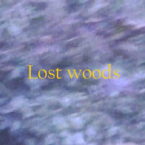 Lost woods