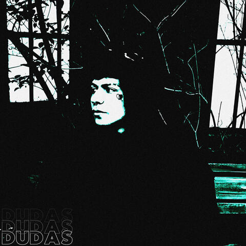 Dudas