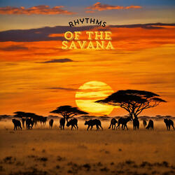 Rhythms of the Savannah
