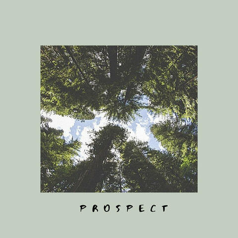 Prospect