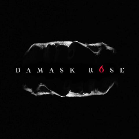 Damask Rose