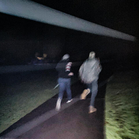 Traffic Stop on Oakville Drive