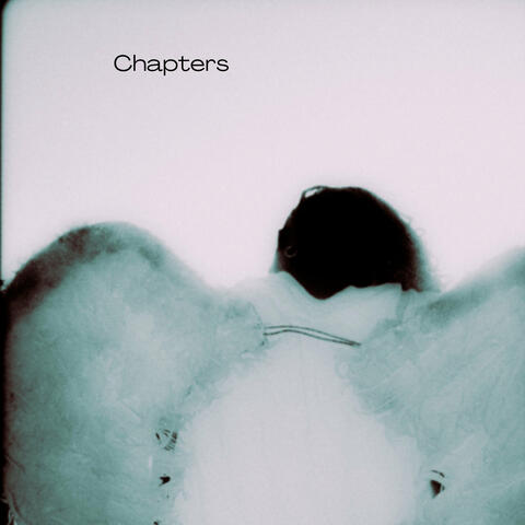Chapters