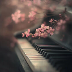 The Dream I Never Leave