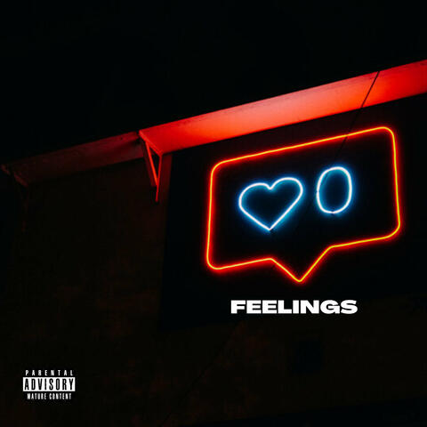 Feelings