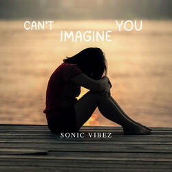 Can't Imagine You