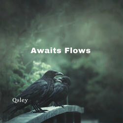 Awaits Flows