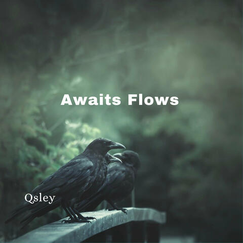 Awaits Flows