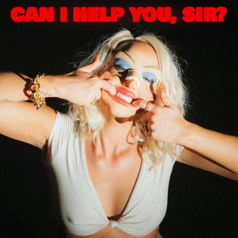 Can I Help You, Sir?