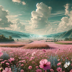 トランスナイト