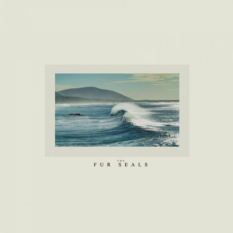 The Fur Seals