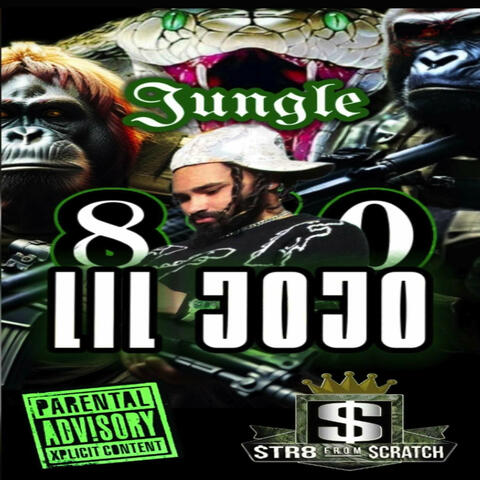Jungle