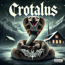 Crotalus