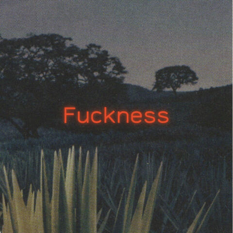 Fuckness