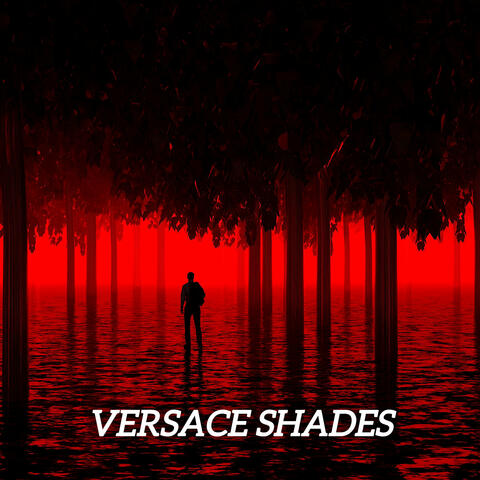 Versace Shades
