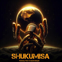 Shukumisa