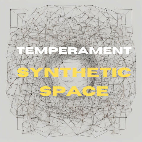Synthetic Space