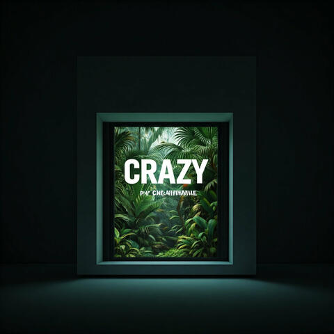 My Crazy World