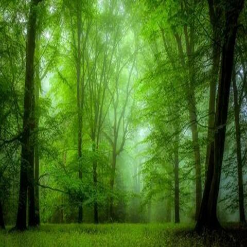 First Time of Valentino