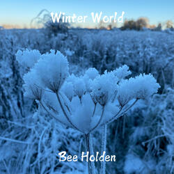 Winter World