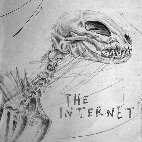 The Internet