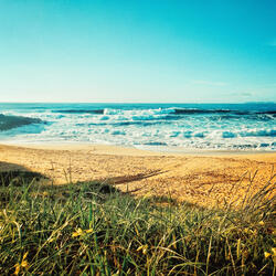 Don't See Summer Days