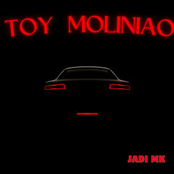 Toy Moliniao