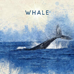 Whale