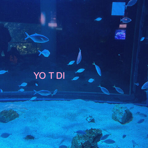 Yo T Di
