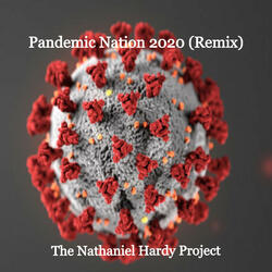 Pandemic Nation 2020
