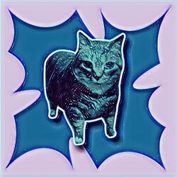 Oiiaoiia Cat