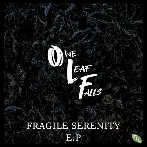 Fragile Serenity