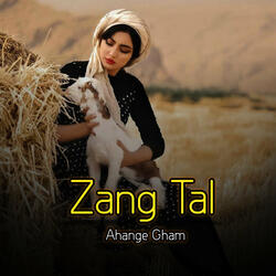 Zang Tal