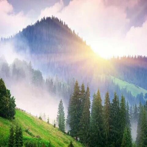 Rave Paradise