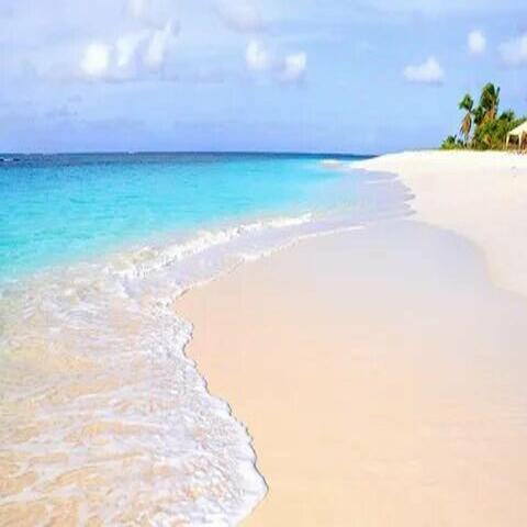 She Loves Your Ocean
