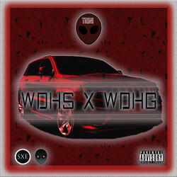 W.D.H.S. X .W.D.H.G.