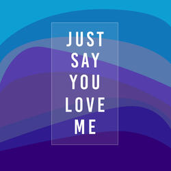 Just Say You Love Me