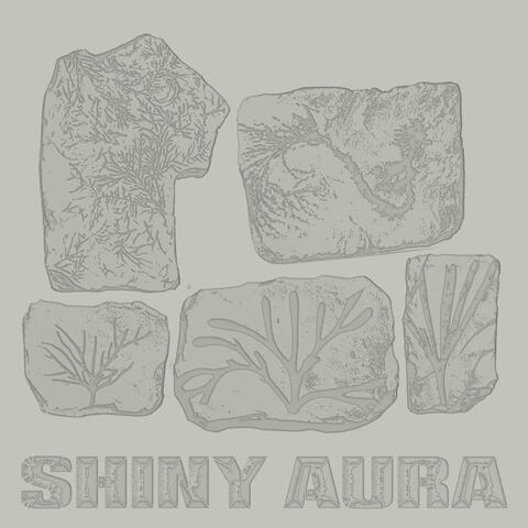 Shiny Aura