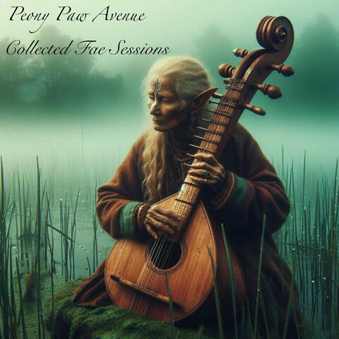 Collected Fae Sessions